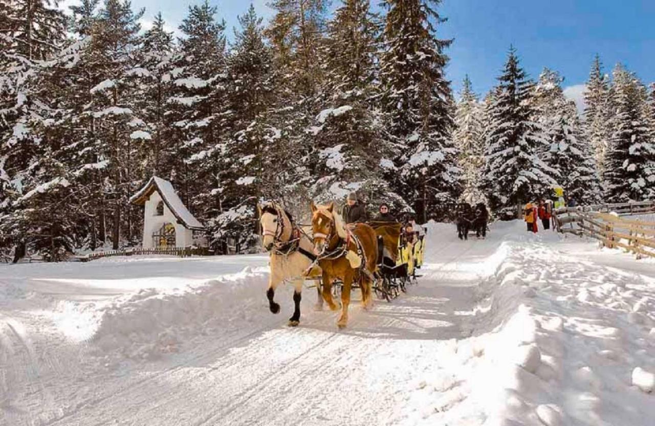 Appartmenthaus Birkenwald Seefeld in Tirol Exterior photo
